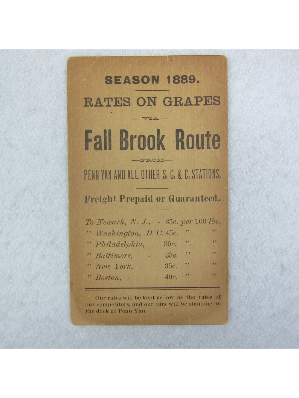 1889 Grapes Rate Card Syracuse Geneva & Corning Railway Fall Brook Route NY RARE